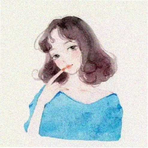 用户 清迈夜航员 头像